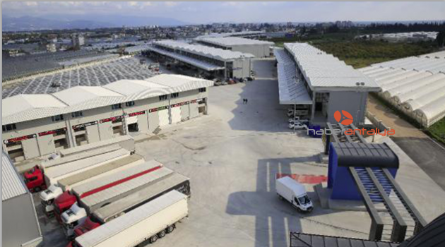 Antalya'da haller birleştiriliyor