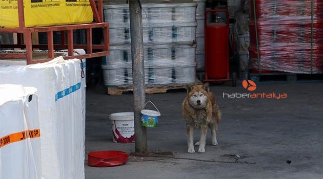Antalya'da izolasyon malzeme deposundaki yangın korkuttu