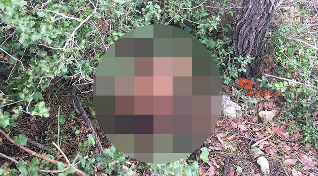 Antalya'da kan donduran görüntü!