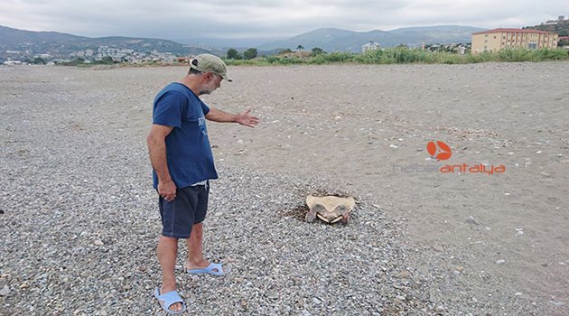 ANTALYA'DA KATLİAM İDDİASI