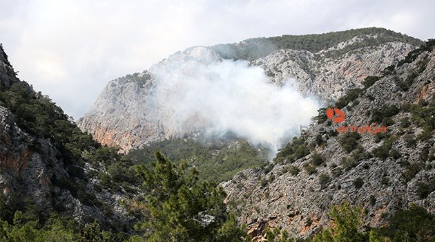 ANTALYA'DA KORKUTAN ORMAN YANGINI
