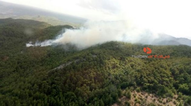 Antalya'da orman yangını