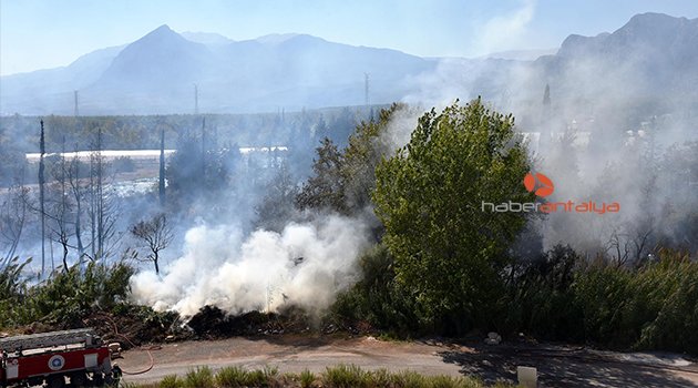 ANTALYA'DA ORMAN YANGINI