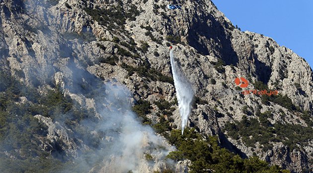 Antalya'da orman yangını