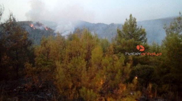 Antalya'da orman yangını