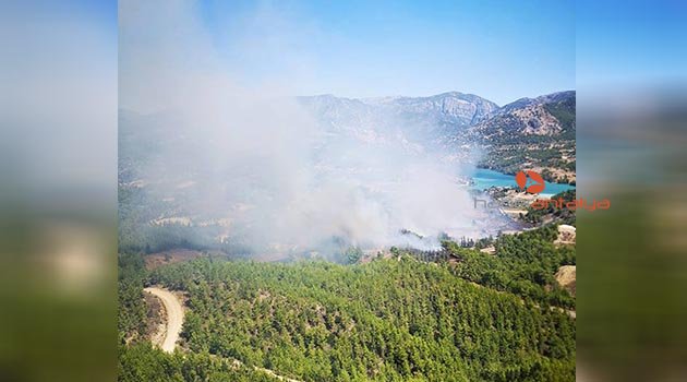Antalya'da orman yangını