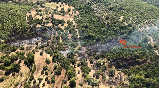 Antalya'da orman yangınında 1 hektar zarar gördü