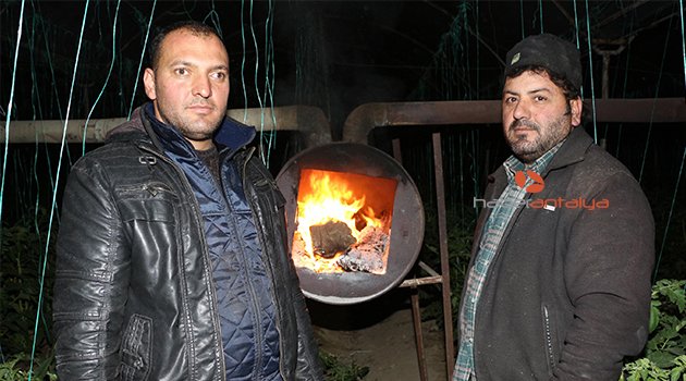 ANTALYA'DA SOĞUK HAVA ÇİFTÇİYİ VURDU