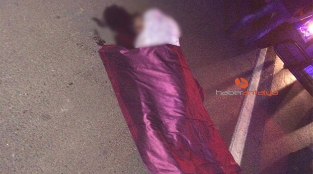 Yol kenarında ölü bulundu