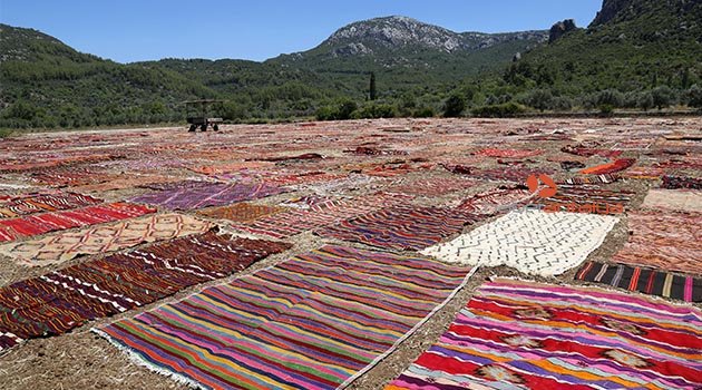 Antalya'da tarlalar halı açtı
