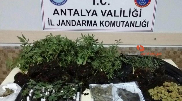 Antalya'da uyuşturucu operasyonu