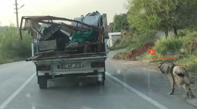 Antalya'da vahşet!