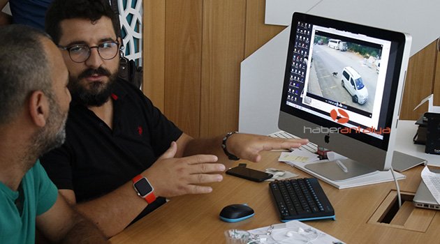 Antalya'daki köpek bilerek ve kasten ezilmiş