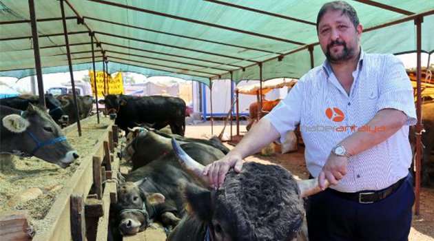 Antalya'daki kurbanlıkların ne kadarı satıldı?