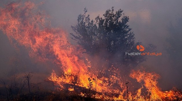 Antalya'daki yangını söndürme çalışmaları devam ediyor: 1000 hektar zarar gördü!