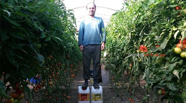 Antalyalı çiftçiden kâşiflere taş çıkartacak buluş