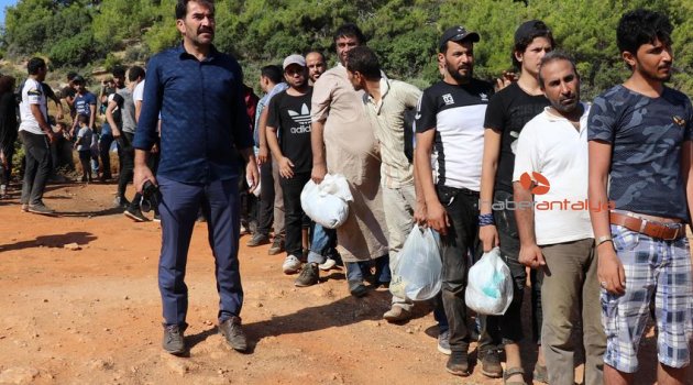 Antalya'ya tekneyle gelen kaçak mülteciler muz bahçesinde yakalandı