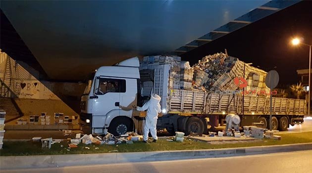 Arı kovanı yüklü tır köprüye çarptı, arılar karayolunu istila etti