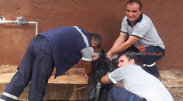 ASAT, okul ve camilerde su israfını önleyecek