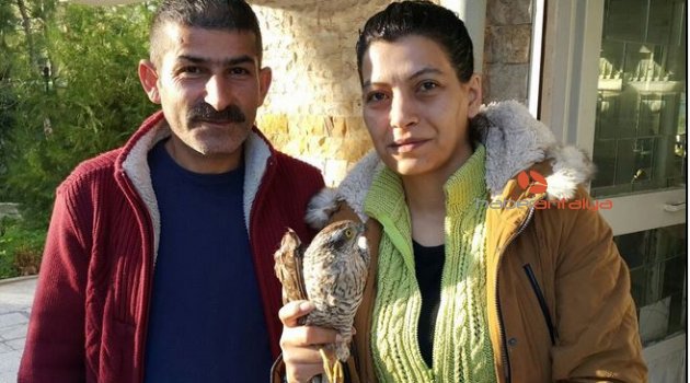 Ateşli silahla yaralanan atmaca tedaviye alındı