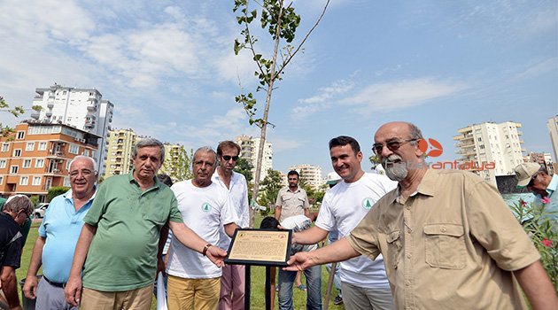  Atom bombasına direnen ağaç Antalya'da kök salacak