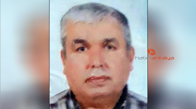 Avokado ağacından düşüp, öldü