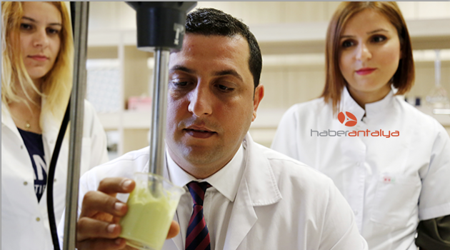 Avokadoyla kolesterolsüz mayonez ürettiler