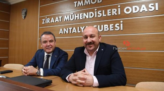 Başkan Böcek: STK'lar ile birlikte çalışıyoruz