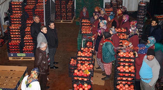 Başkan Genç, Nar işçileriyle buluştu