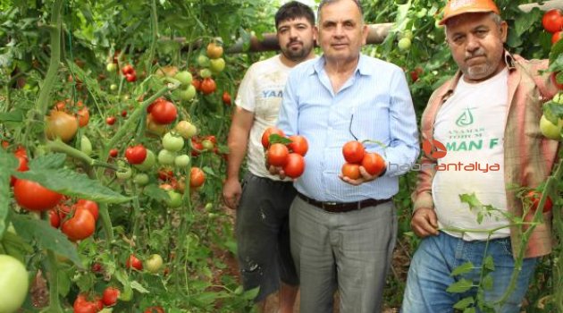 Başkan Kayhan üreticileri uyardı