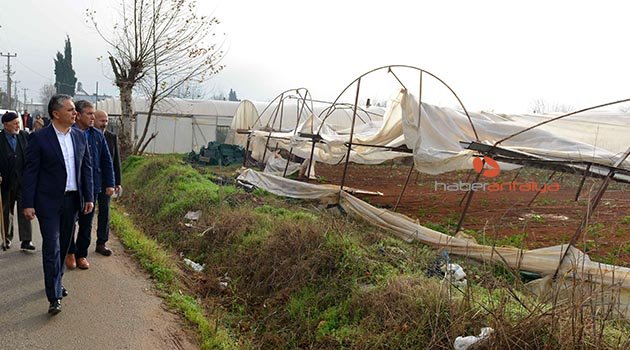 Başkan Uysal, hortumun yıktığı seralarda incelemelerde bulundu