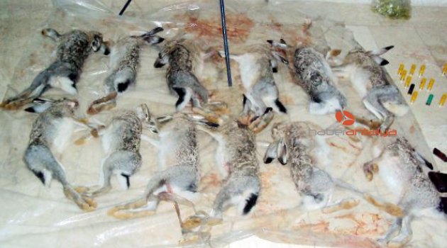 Batı Akdeniz'de kaçak avcılara 798 bin lira ceza