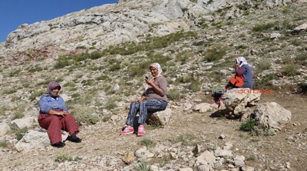 Bin 856 rakımlı yaylada taş üstünde sinyal avı