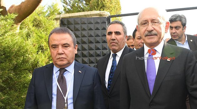 Böcek yakın takipte