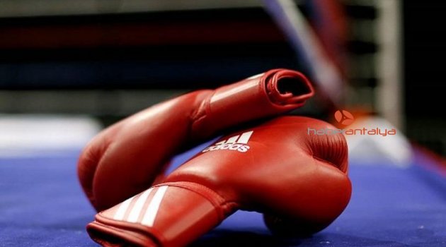 Boksta Avrupa şampiyonları Antalya'da belirlenecek