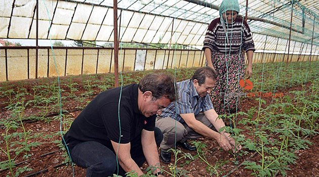 BUDAK: "RUSYA KRİZİ, SİYASİ AFET HALİDİR"