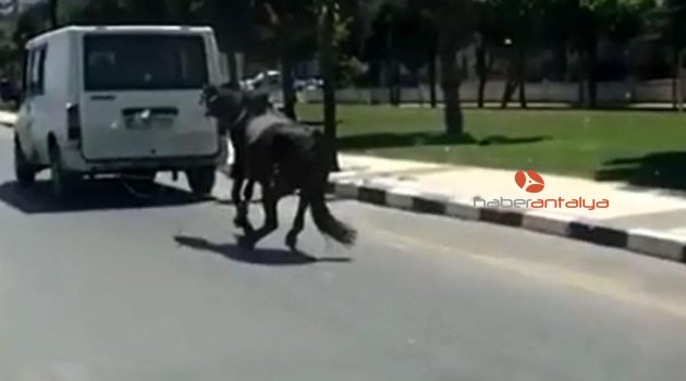 Bunun adı işkence!