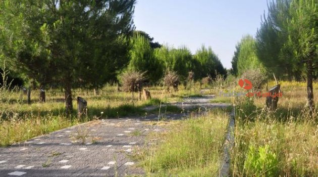 Büyükşehir Belediyesi, Şehitler Ormanı’na sahip çıktı