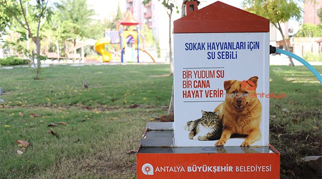 Büyükşehir, sokak hayvanlarına sahip çıkıyor