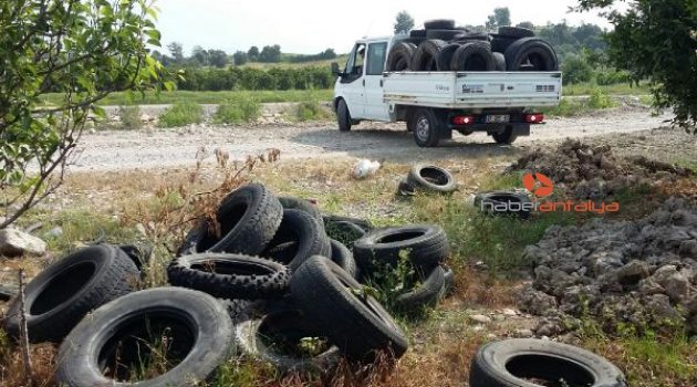 Büyükşehir'in sivrisinek mücadelesi