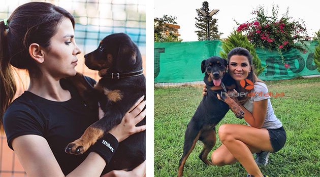Çalınan köpeğini dedektif gibi arayıp hırsızın eşkaline ulaştı