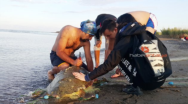 CARETTA CARETTA KURTARMA OPERASYONU