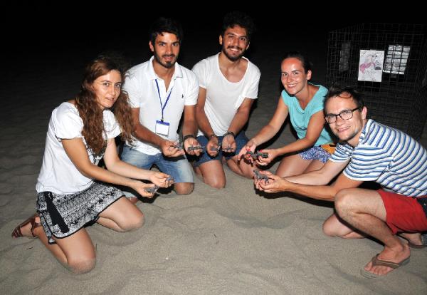CARETTA YAVRULARI PATARA'DA AKDENİZ'LE BULUŞUYOR