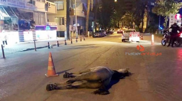 'Çatlayana kadar, kalp krizi geçirene kadar koşturuyorlar, bu tamamen kanlı bir ticaret'