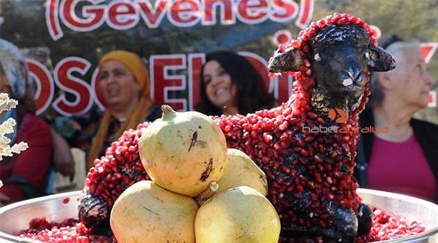  'Çekirdeksiz Nar'ın festivali başladı