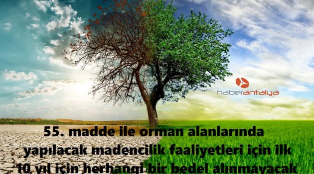 Çevrecilerden 'ÇED'siz olmaz' kampanyası