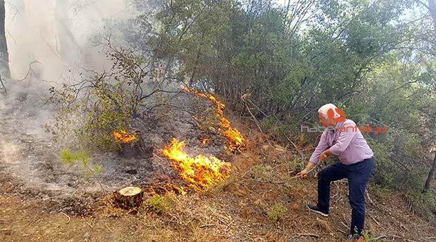 CHP'li aday orman yangınına müdahale etti