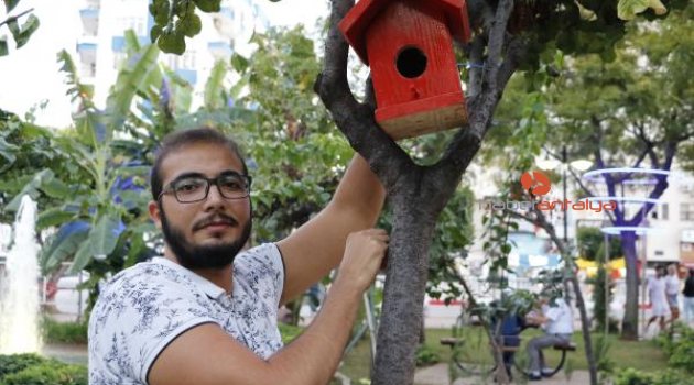 CHP'li gençlerden kuşlara yuva