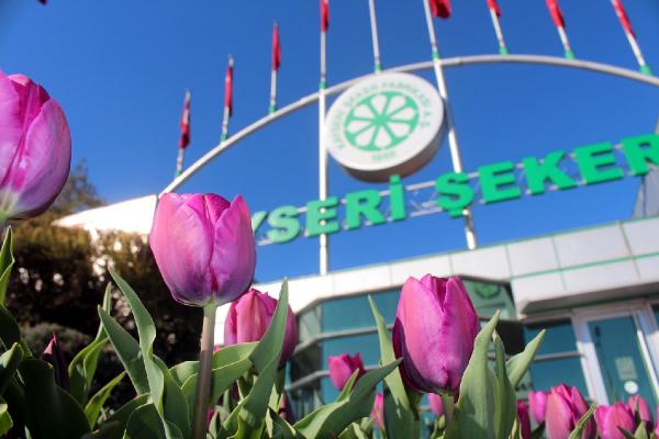 Çiçekler, Kayseri Şeker’in Serasından