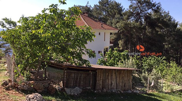 CİNAYET ŞÜPHELİSİ GÖZALTINDA